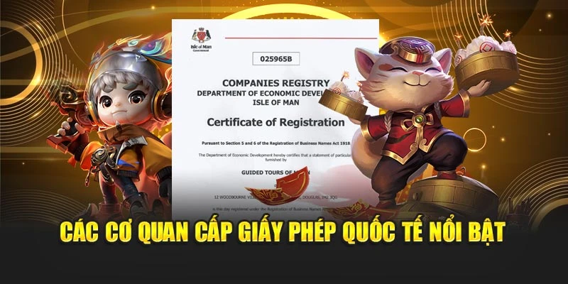 Các cơ quan cấp giấy phép quốc tế nổi bật